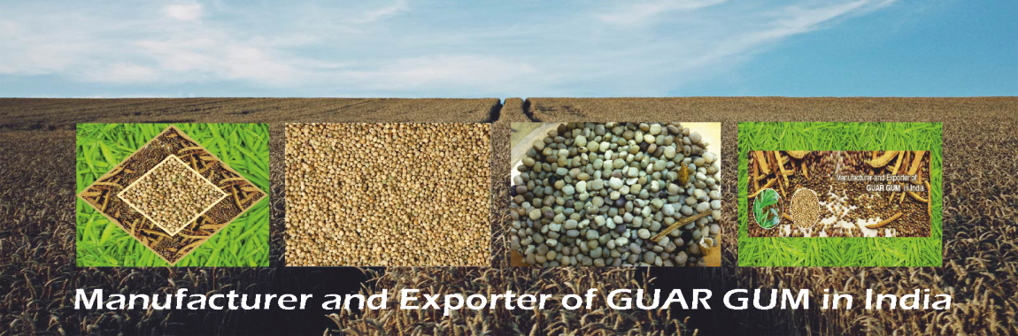 guar gum powder manufacturer from india